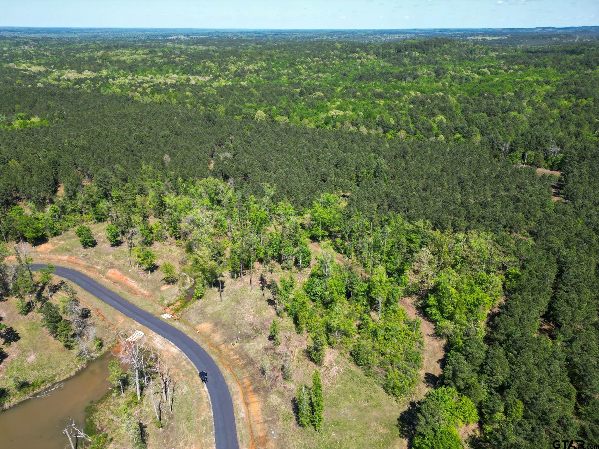 53 Marble Way Hallsville, TX 75650 - Photo 10 of 17 a view of a field with an ocean view