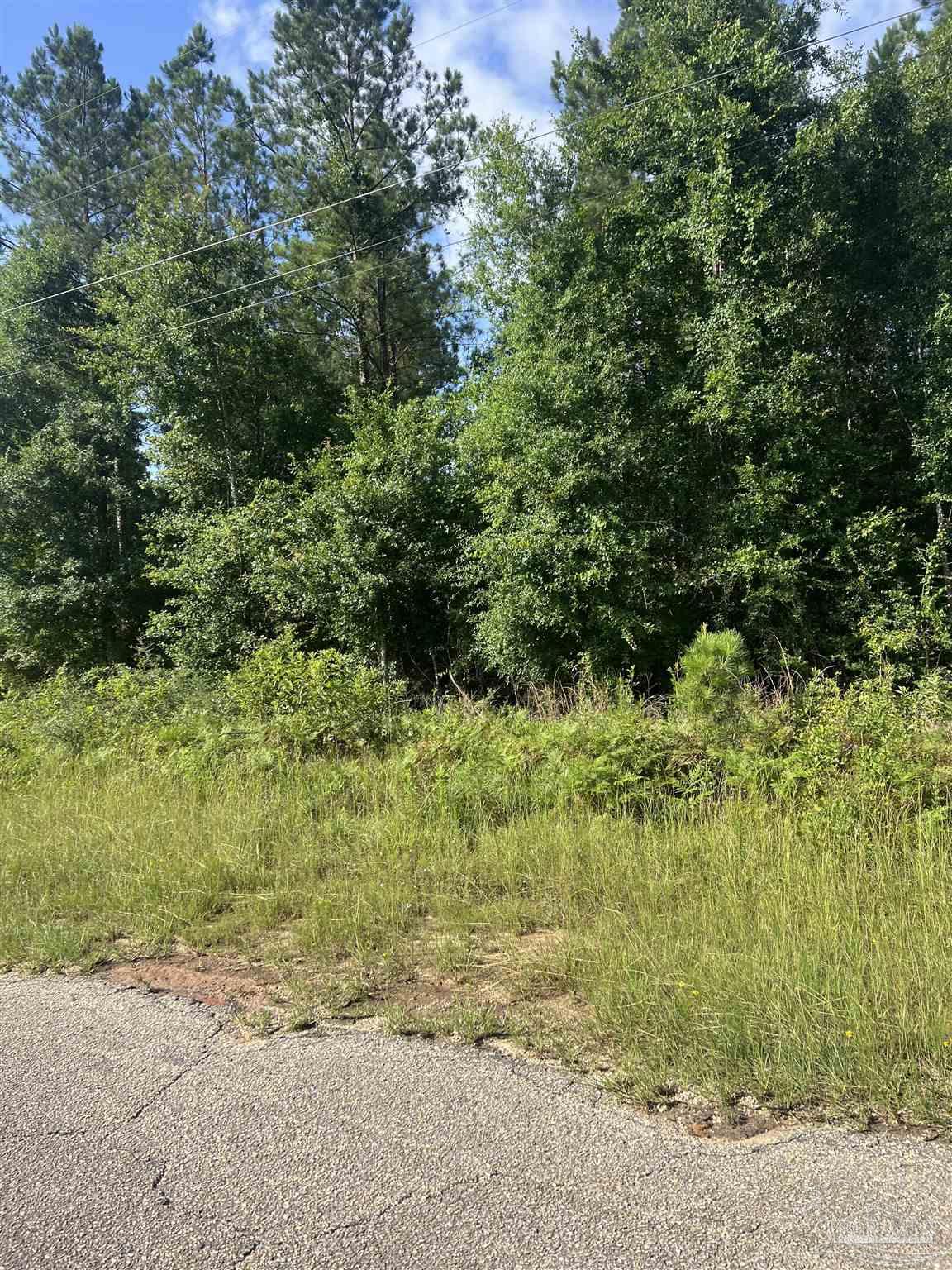 Lot 86 Pineview Church Road Jay, FL 32565 - Photo 2 of 6