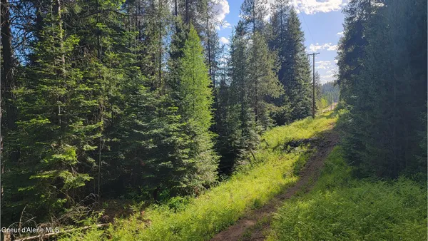$70,000 | Nna Gleason Mcabee Falls Road, Priest River, ID 83856