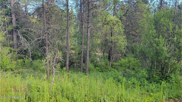 $70,000 | Nna Gleason Mcabee Falls Road, Priest River, ID 83856