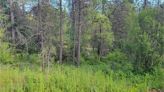 $70,000 | Nna Gleason Mcabee Falls Road, Priest River, ID 83856