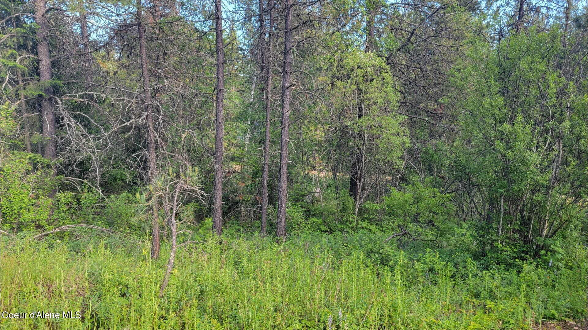 Nna Gleason Mcabee Falls Road Priest River, ID 83856 - Photo 11 of 25 NNA Gleason McAbee Falls Rd pics_10
