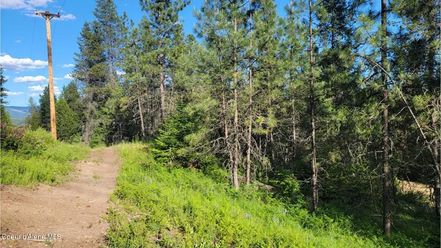 $70,000 | Nna Gleason Mcabee Falls Road, Priest River, ID 83856