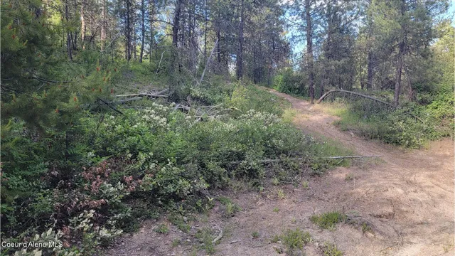 $70,000 | Nna Gleason Mcabee Falls Road, Priest River, ID 83856