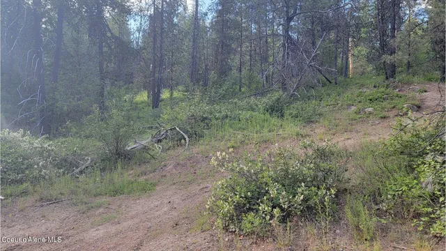 $70,000 | Nna Gleason Mcabee Falls Road, Priest River, ID 83856
