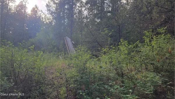 $70,000 | Nna Gleason Mcabee Falls Road, Priest River, ID 83856