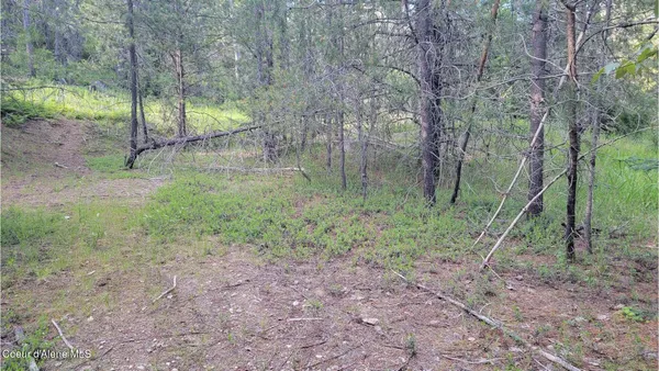 $70,000 | Nna Gleason Mcabee Falls Road, Priest River, ID 83856