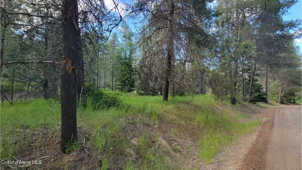 $70,000 | Nna Gleason Mcabee Falls Road, Priest River, ID 83856