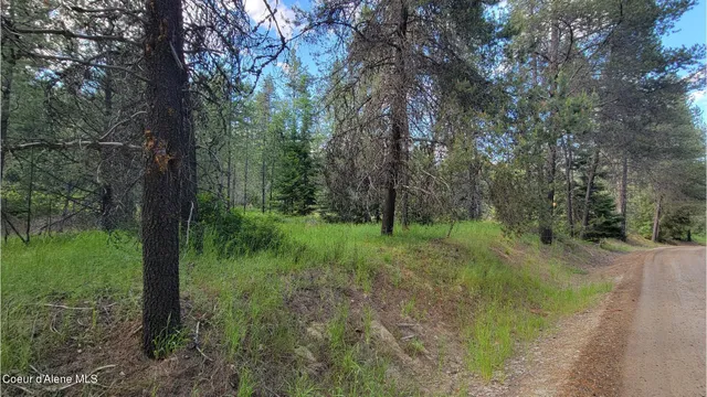 $70,000 | Nna Gleason Mcabee Falls Road, Priest River, ID 83856