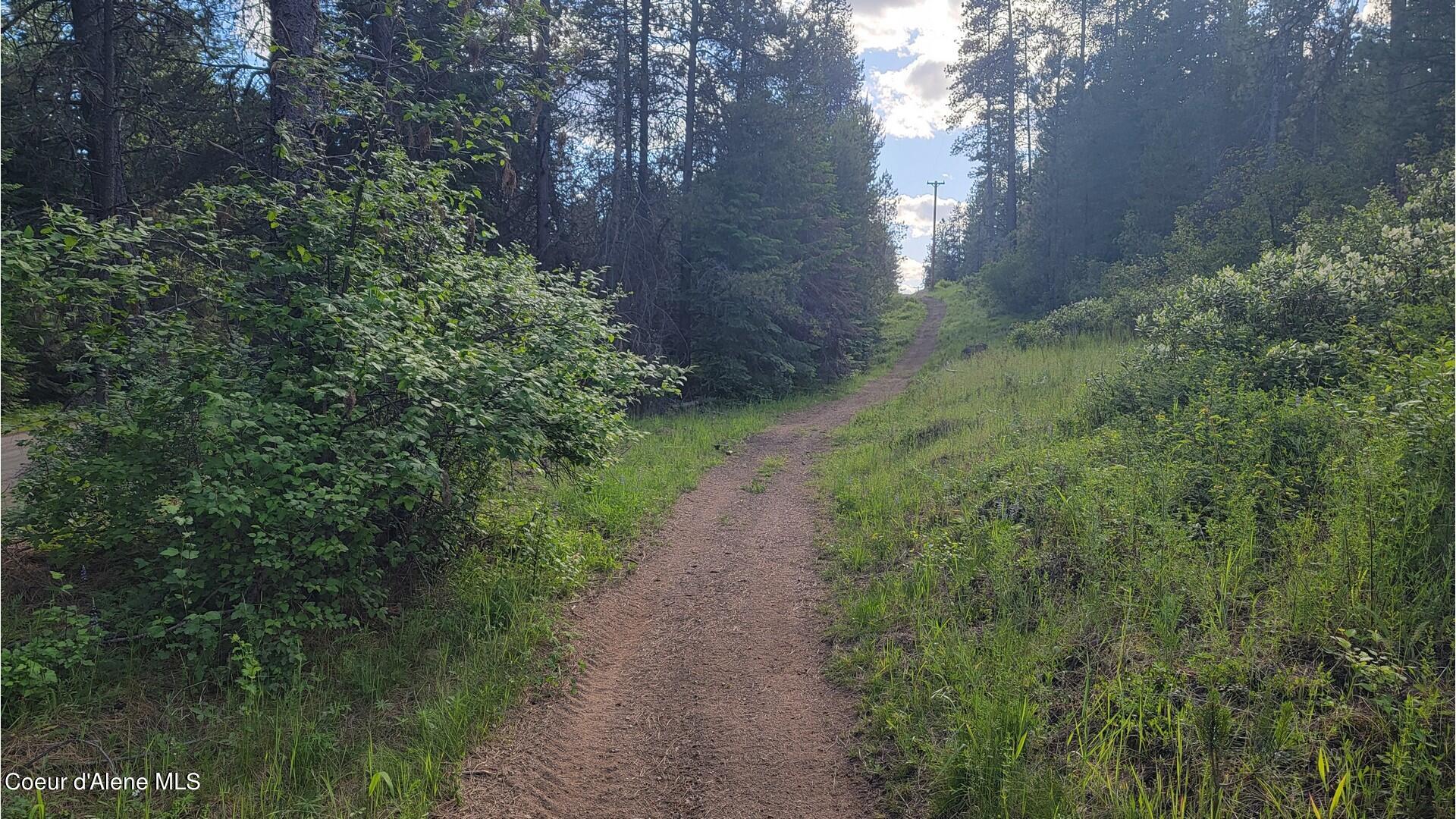 Nna Gleason Mcabee Falls Road Priest River, ID 83856 - Photo 4 of 25 NNA Gleason McAbee Falls Rd pics_3