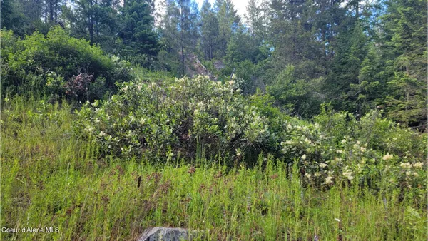 $70,000 | Nna Gleason Mcabee Falls Road, Priest River, ID 83856