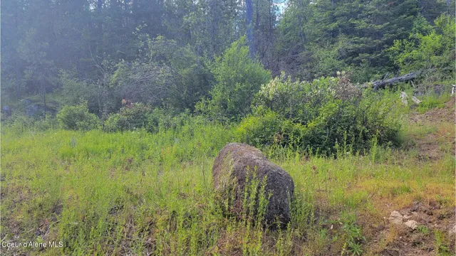 $70,000 | Nna Gleason Mcabee Falls Road, Priest River, ID 83856