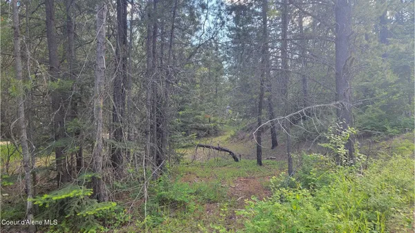 $70,000 | Nna Gleason Mcabee Falls Road, Priest River, ID 83856