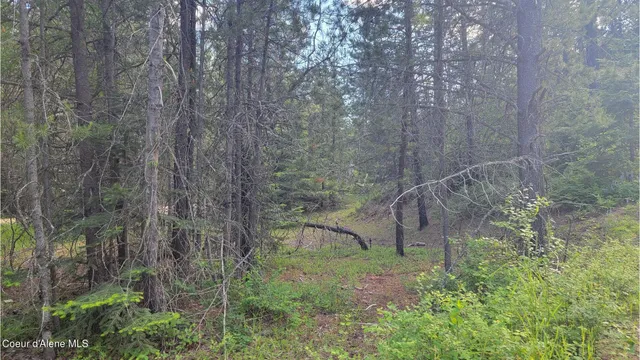 $70,000 | Nna Gleason Mcabee Falls Road, Priest River, ID 83856