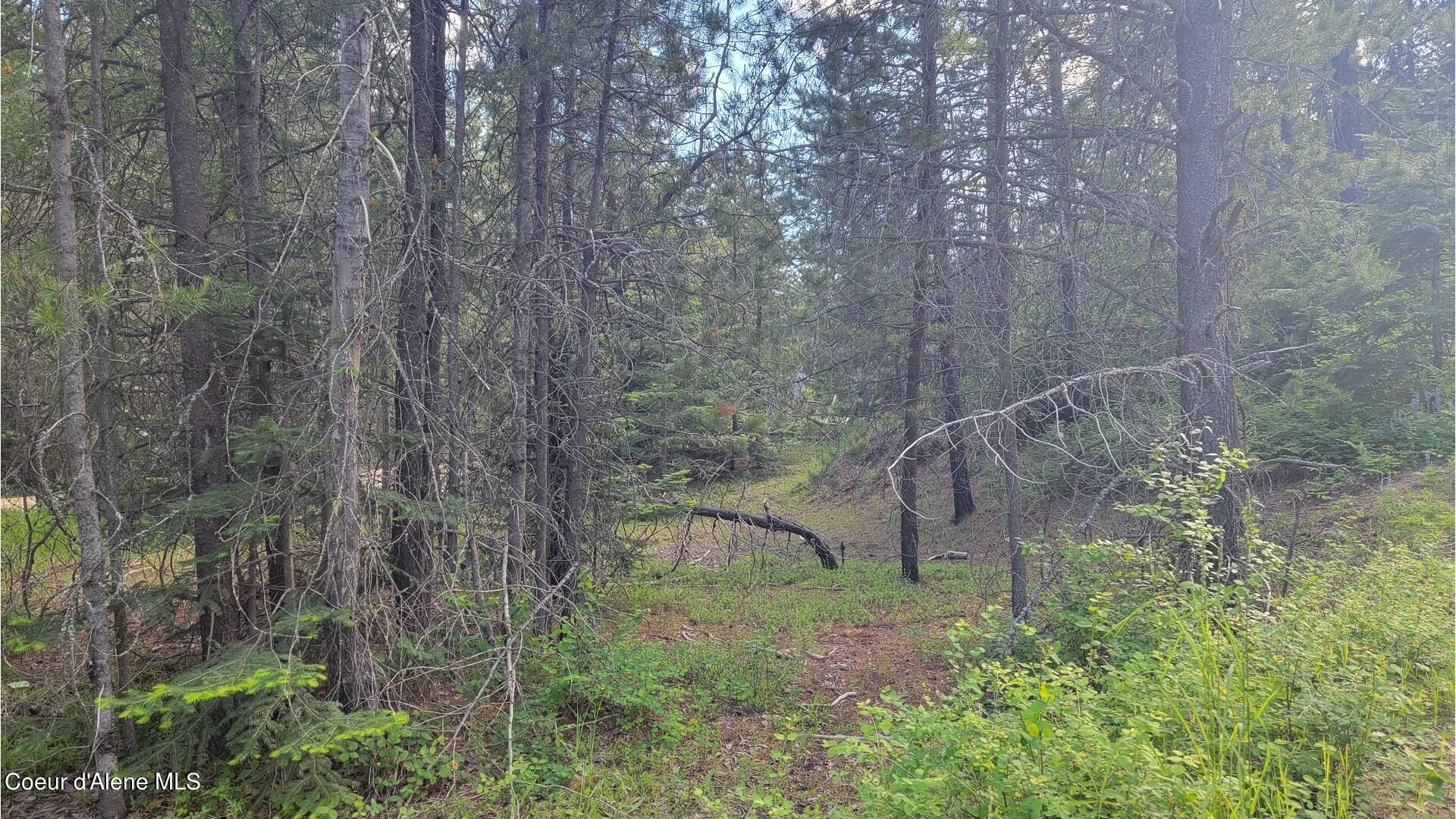 Nna Gleason Mcabee Falls Road Priest River, ID 83856 - Photo 7 of 25 NNA Gleason McAbee Falls Rd pics_6