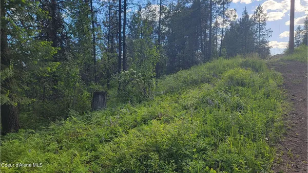 $70,000 | Nna Gleason Mcabee Falls Road, Priest River, ID 83856