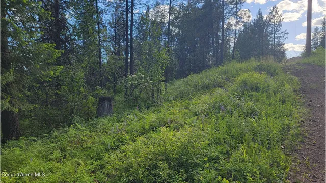 $70,000 | Nna Gleason Mcabee Falls Road, Priest River, ID 83856
