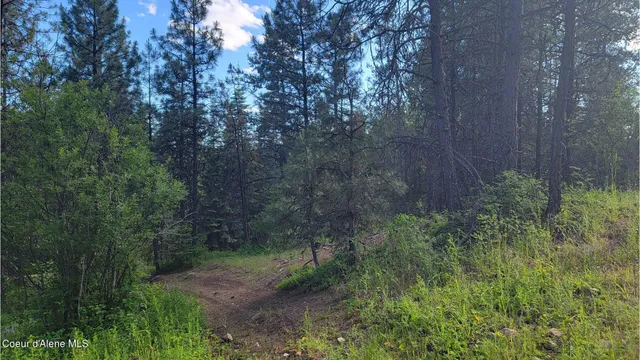$70,000 | Nna Gleason Mcabee Falls Road, Priest River, ID 83856