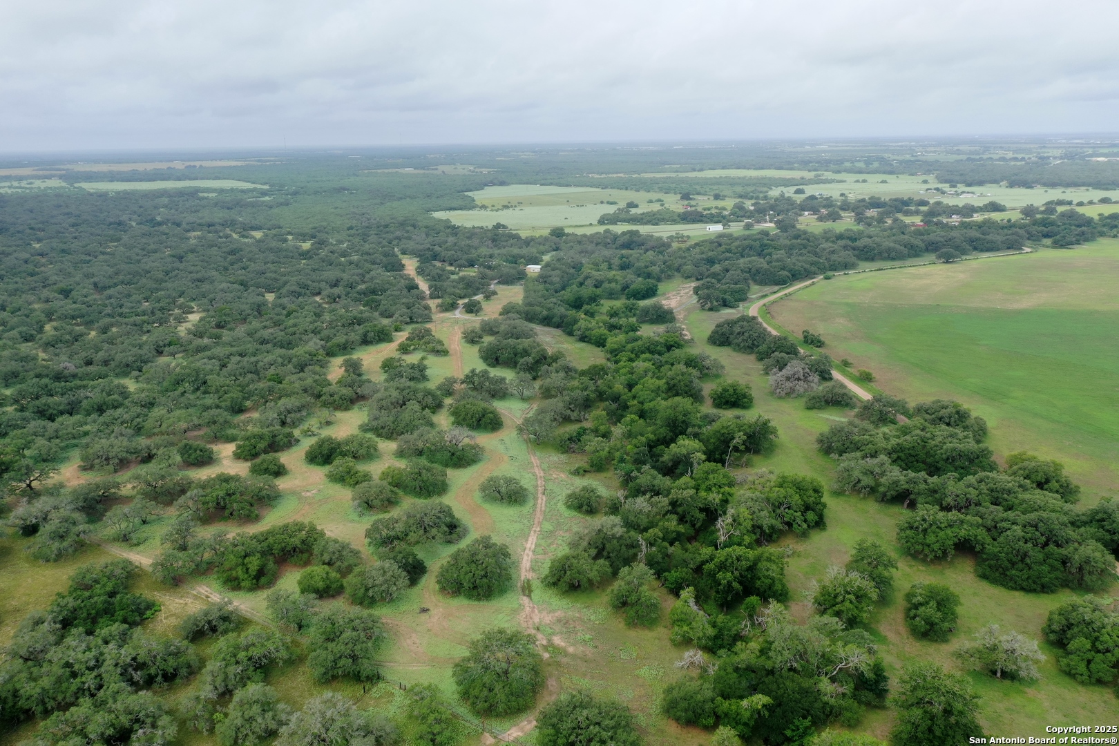 5464 Coughran Road Pleasanton, TX 78064 - Photo 11 of 55