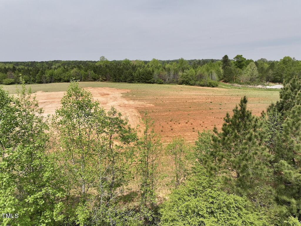 2 Savage Road Spring Hope, NC 27882 - Photo 15 of 20 15