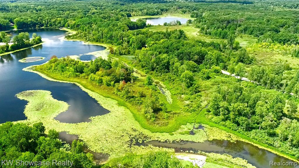 0 Cedar Lake Road Chelsea, MI 48118 - Photo 8 of 15