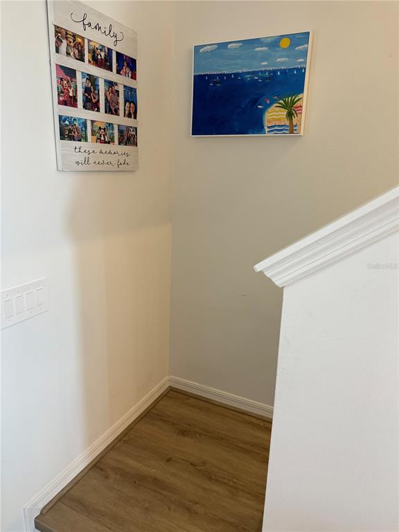 9276 Bonita Mar Drive Parrish, FL 34219 - Photo 10 of 54