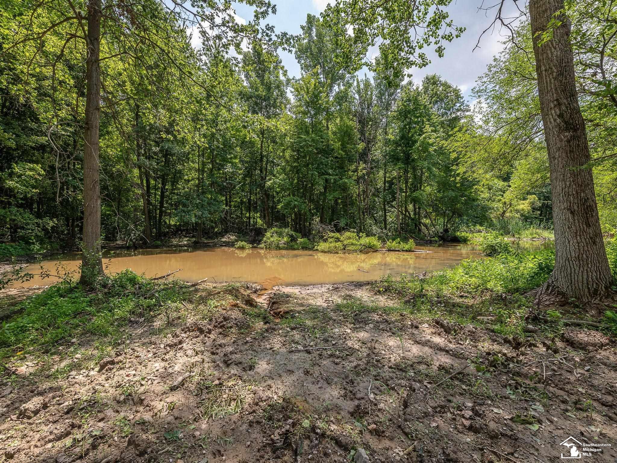 3901 Kane Road Carleton, MI 48117 - Photo 44 of 54