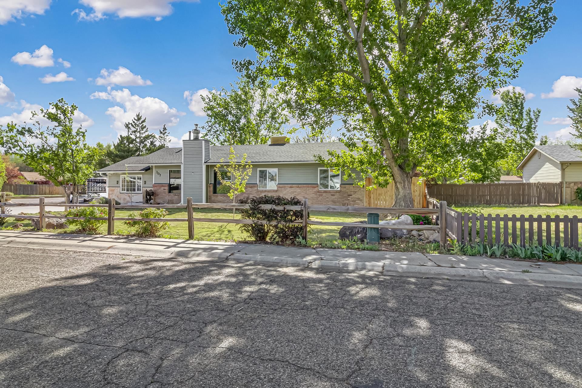 307 North Ash Street Fruita, CO 81521 - Photo 3 of 42