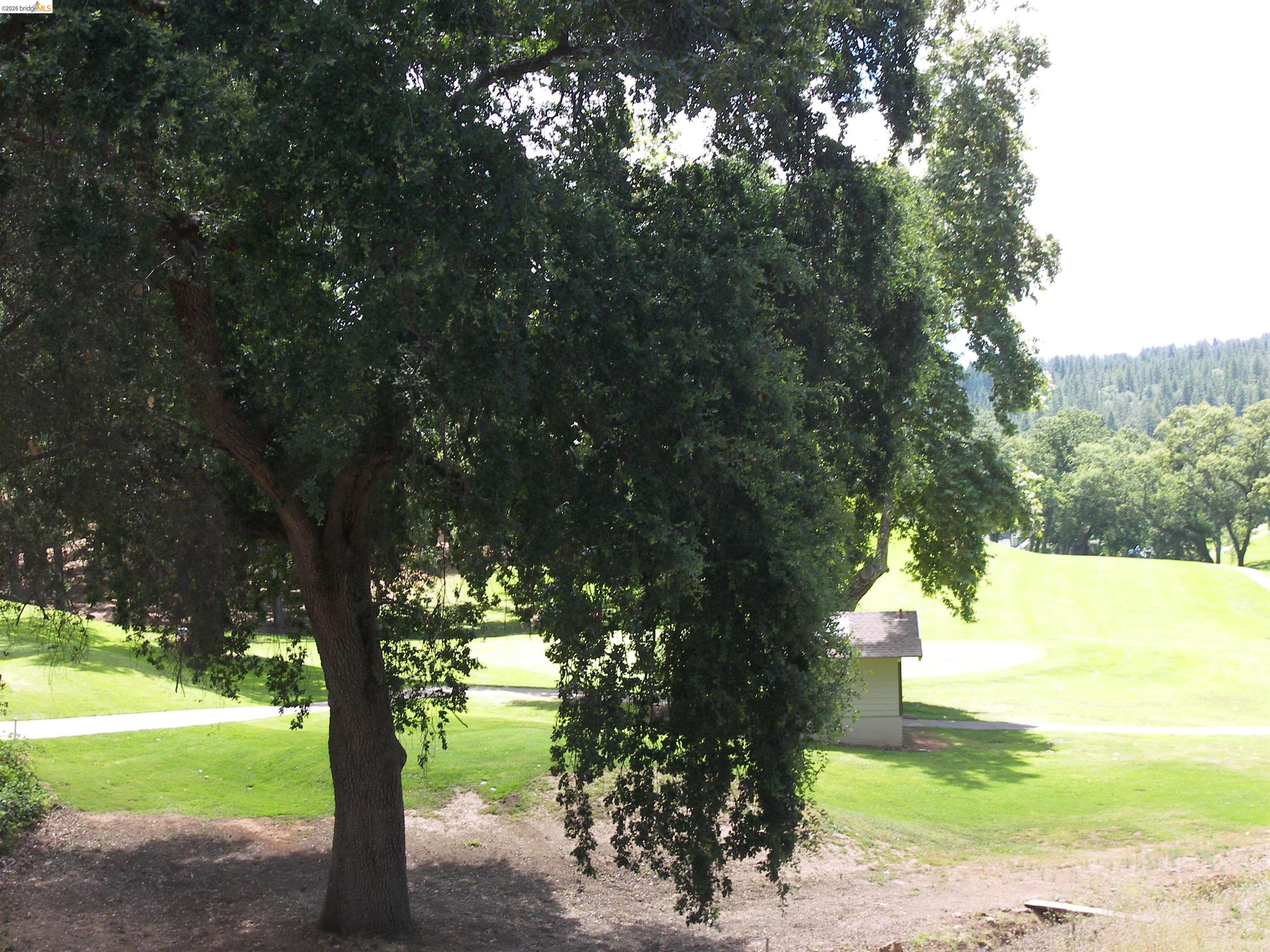 19215 Ferretti Road Groveland, CA 95321 - Photo 31 of 40 Expansive green landscape featuring mature trees and a paved pathway