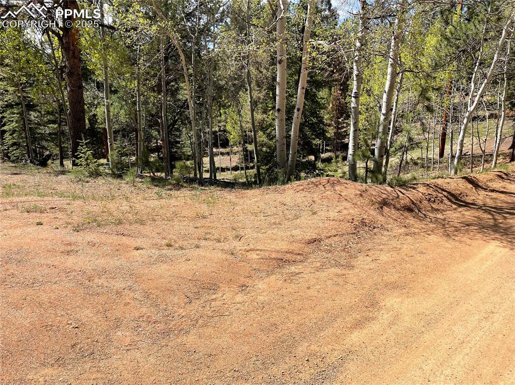 a view of road and trees