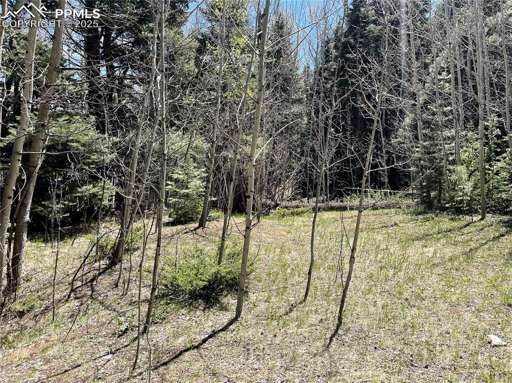 146 Gibson Road Westcliffe, CO 81252 - Photo 11 of 28 a view of swimming pool