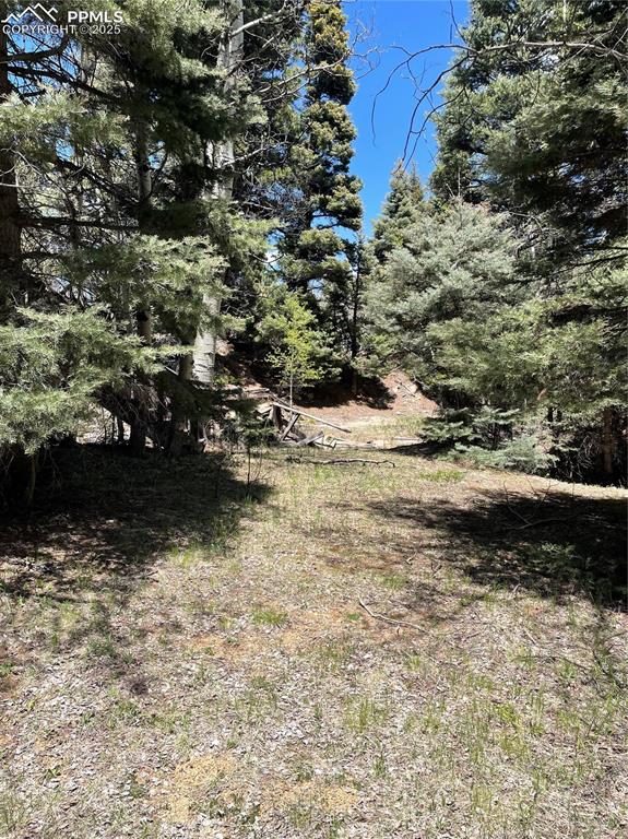 146 Gibson Road Westcliffe, CO 81252 - Photo 12 of 28