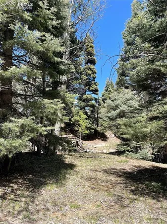 a view of outdoor space