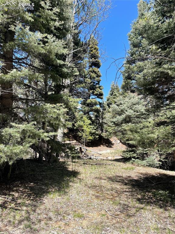 146 Gibson Road Westcliffe, CO 81252 - Photo 13 of 28 a view of a yard