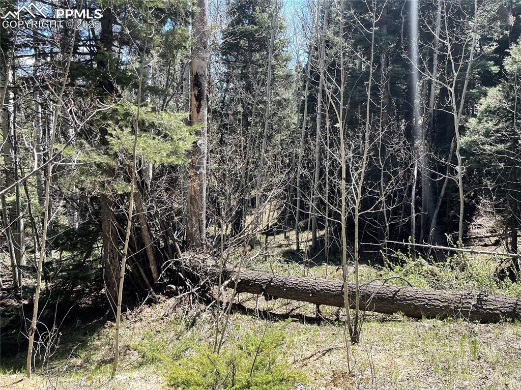 146 Gibson Road Westcliffe, CO 81252 - Photo 14 of 28 a view of outdoor space