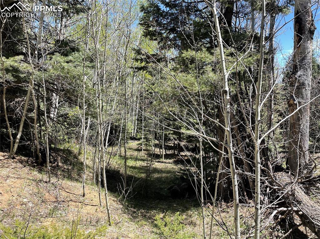 146 Gibson Road Westcliffe, CO 81252 - Photo 15 of 28 a view of city view