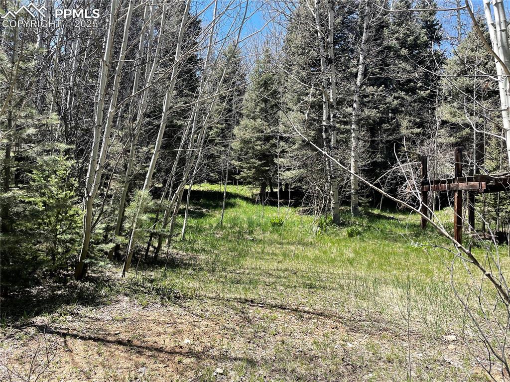 146 Gibson Road Westcliffe, CO 81252 - Photo 17 of 28 a backyard of a house with lots of green space