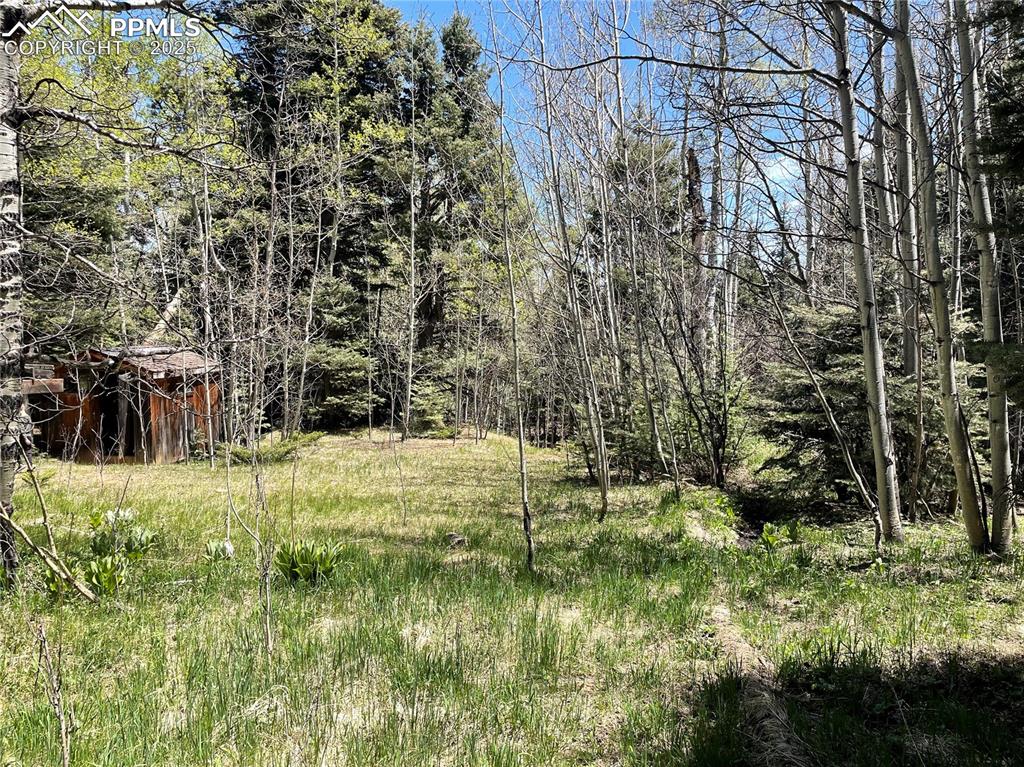 146 Gibson Road Westcliffe, CO 81252 - Photo 18 of 28 a view of swimming pool from a yard