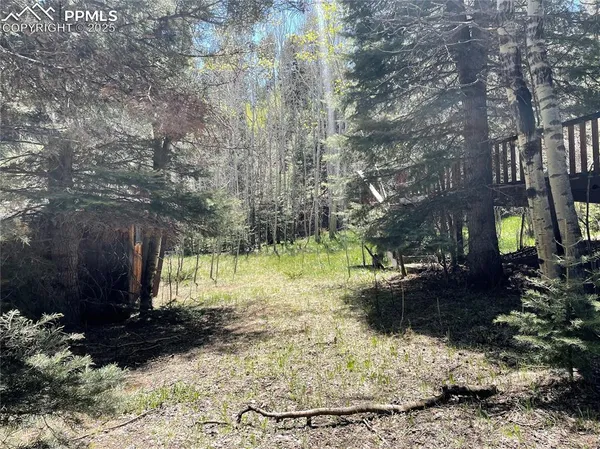 a view of a garden with a tree