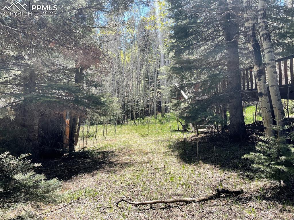 146 Gibson Road Westcliffe, CO 81252 - Photo 20 of 28 a view of backyard with green space