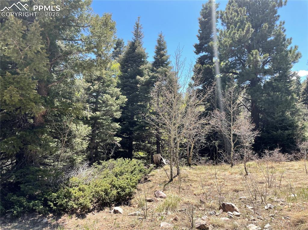 146 Gibson Road Westcliffe, CO 81252 - Photo 2 of 28 a view of a yard covered in snow