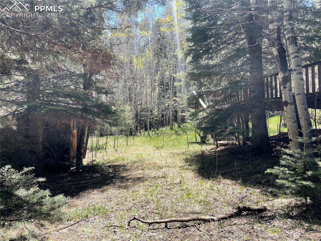 146 Gibson Road Westcliffe, CO 81252 - Photo 21 of 28 a view of a garden with a tree