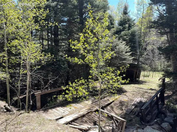 a view of outdoor space with trees all around