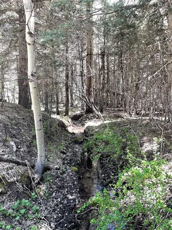 a view of a yard with trees