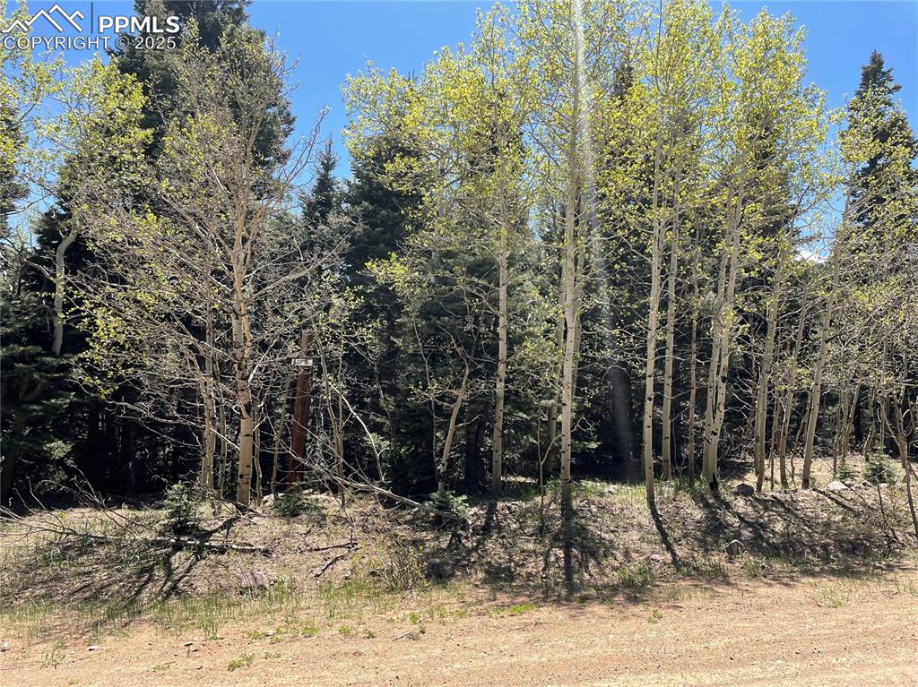 146 Gibson Road Westcliffe, CO 81252 - Photo 3 of 28 a view of a backyard of the house