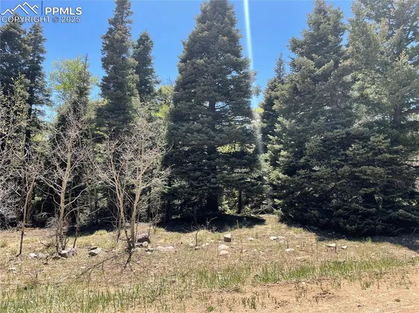 a view of a yard covered in snow