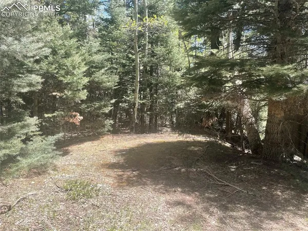a view of snow on a road