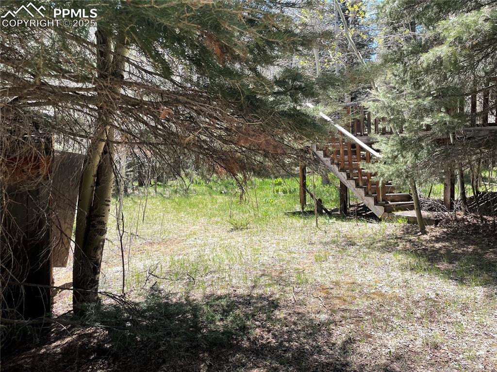 146 Gibson Road Westcliffe, CO 81252 - Photo 9 of 28 a view of outdoor space with trees