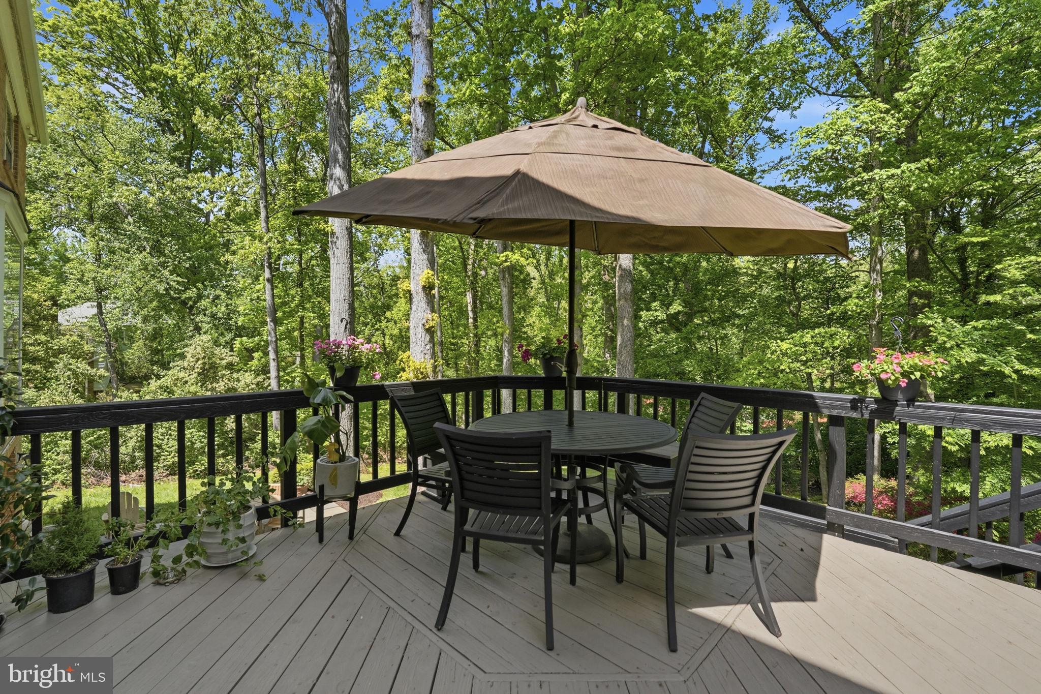 969 Spencer Road McLean, VA 22102 - Photo 42 of 56