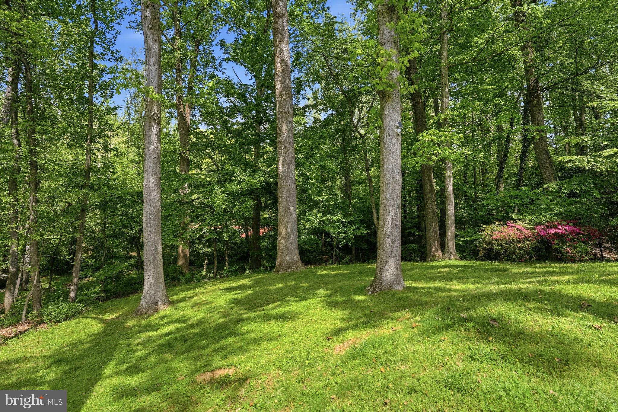 969 Spencer Road McLean, VA 22102 - Photo 47 of 56